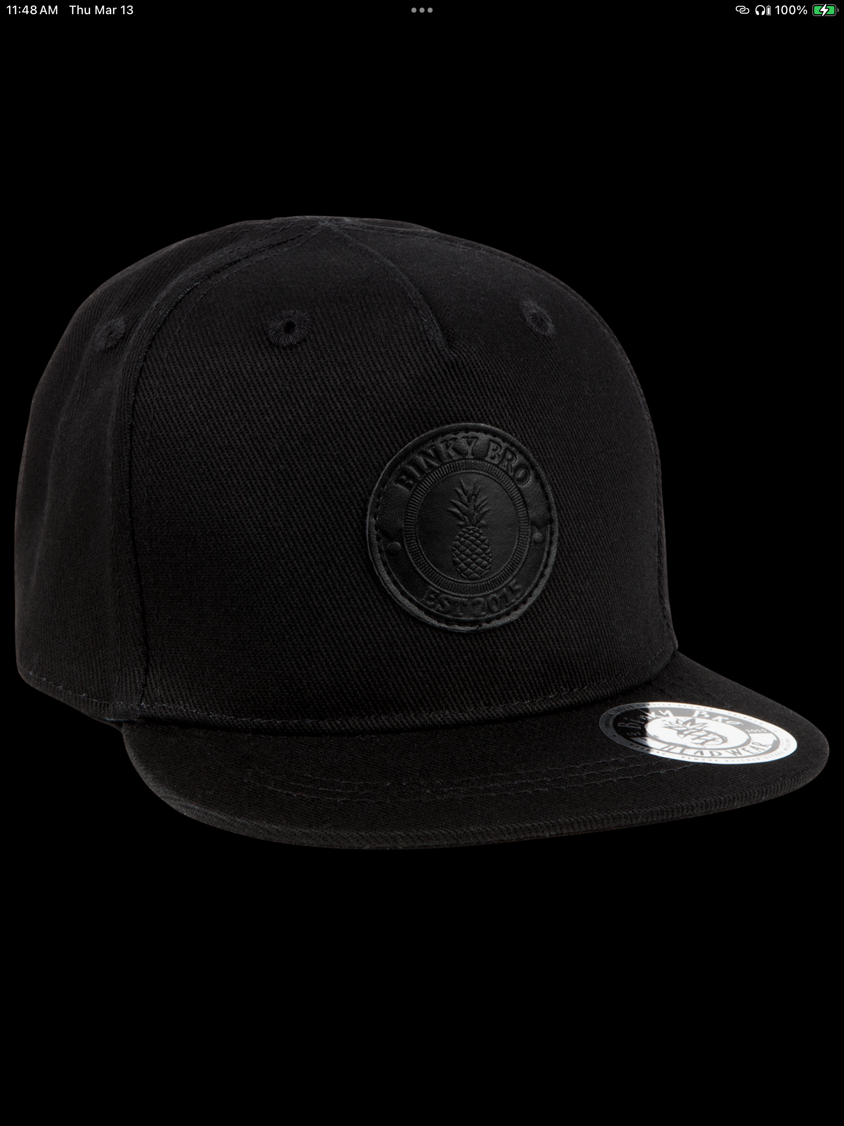 BinkyBro- Irons Hat