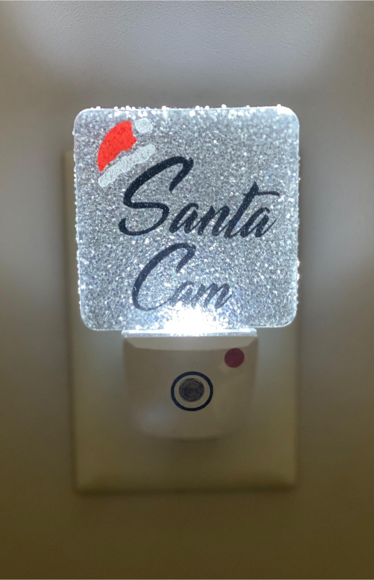 Santa Cam's
