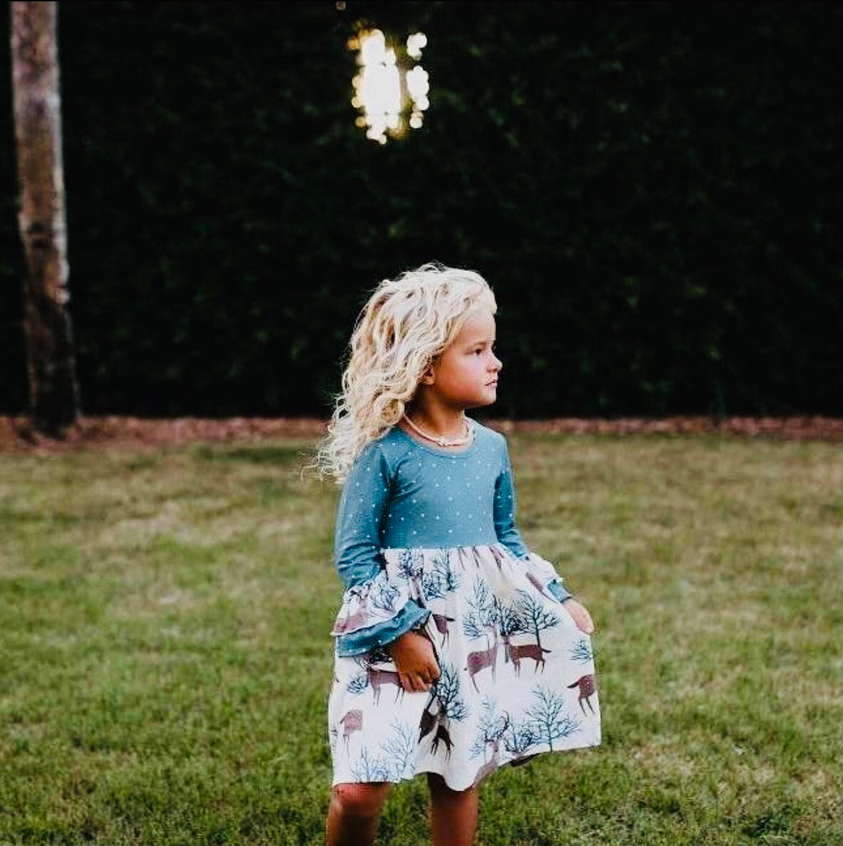 Forest Deer Twirl Winter Holiday Dress