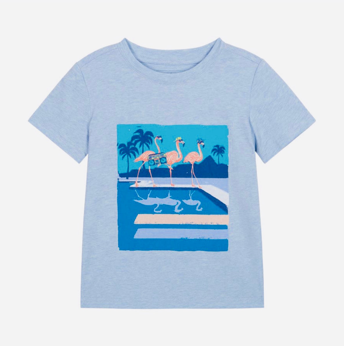 Boys Tee Set-Party Flamingo